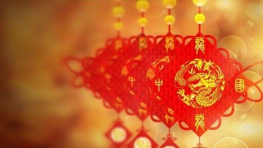 诱捕小浣熊