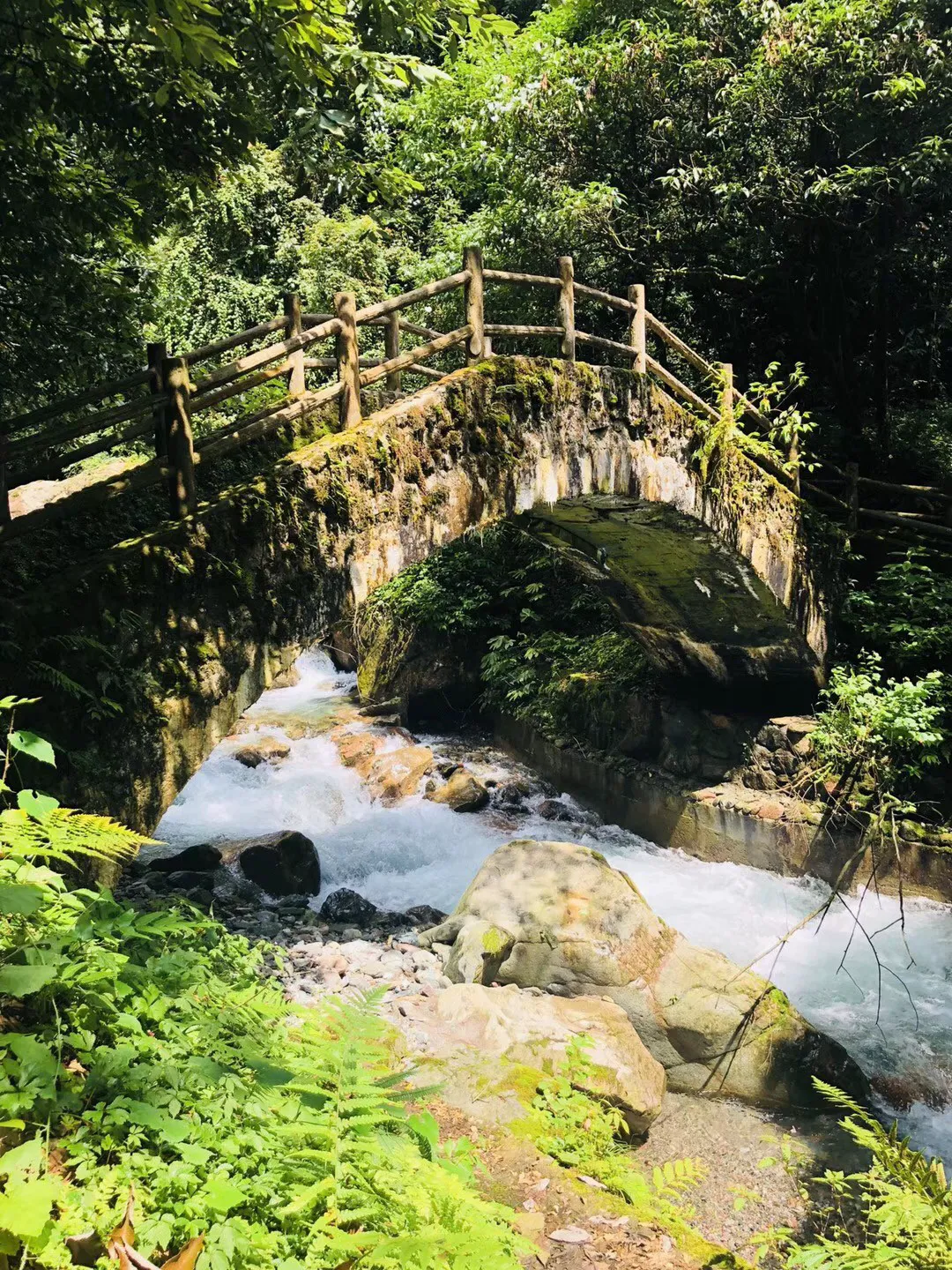 情深意切！安菲尔德克洛普赞歌歌词：爱上他的感觉真好